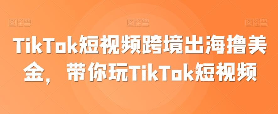 TikTok短视频跨境出海撸美金，带你玩TikTok短视频-胖丫丫博客