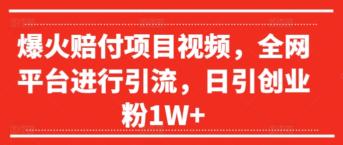 爆火赔付项目视频，全网平台进行引流，日引创业粉1W+【揭秘】-胖丫丫博客