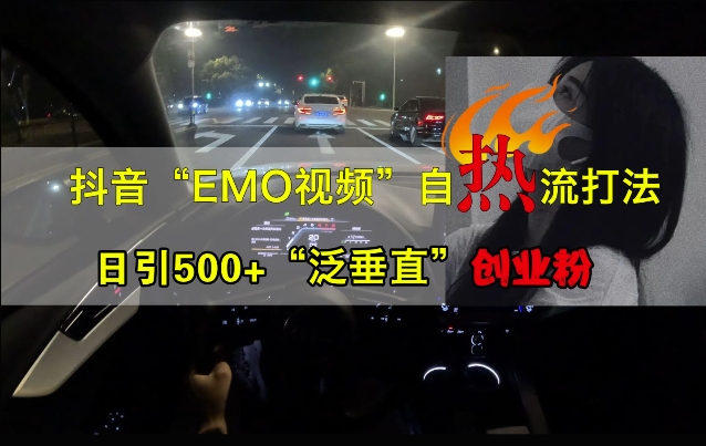 抖音EMO视频自热打法，日引500+“泛垂直”创业粉-胖丫丫博客