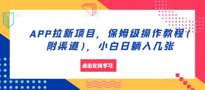 APP拉新项目，保姆级操作教程(附渠道)，小白日躺入几张【揭秘】-胖丫丫博客