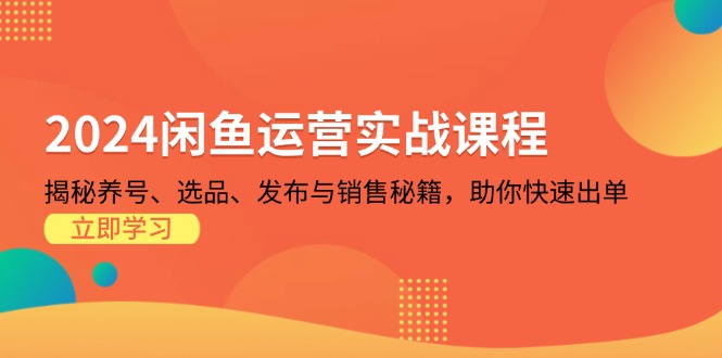 2024闲鱼运营实战课程：揭秘养号、选品、发布与销售秘籍，助你快速出单-胖丫丫博客