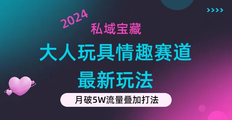 私域宝藏：大人玩具情趣赛道合规新玩法，零投入，私域超高流量成单率高-胖丫丫博客