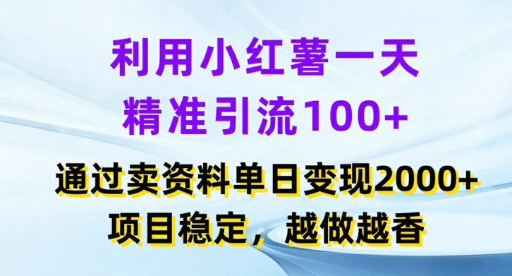 利用小红书一天精准引流100+，通过卖项目单日变现2k+，项目稳定，越做越香【揭秘】-胖丫丫博客