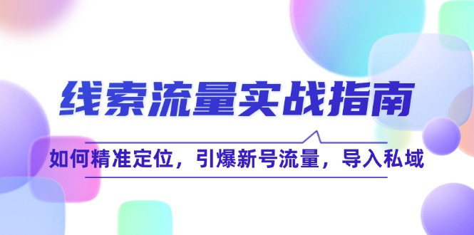 线 索 流 量-实战指南：如何精准定位，引爆新号流量，导入私域-胖丫丫博客