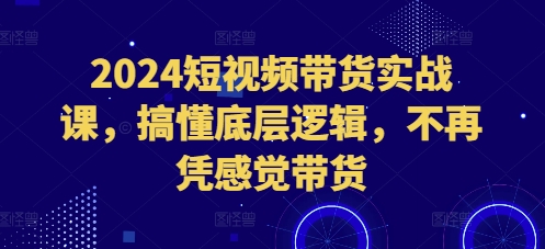 2024短视频带货实战课，搞懂底层逻辑，不再凭感觉带货-胖丫丫博客