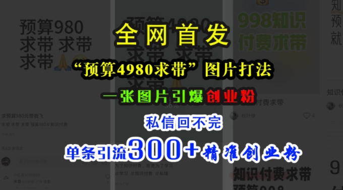 小红书“预算4980带我飞”图片打法，一张图片引爆创业粉，私信回不完，单条引流300+精准创业粉-胖丫丫博客