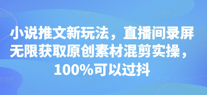 小说推文新玩法，直播间录屏无限获取原创素材混剪实操，100%可以过抖-胖丫丫博客