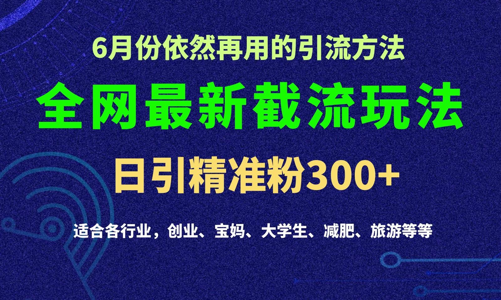 2024全网最新截留玩法，每日引流突破300+-胖丫丫博客