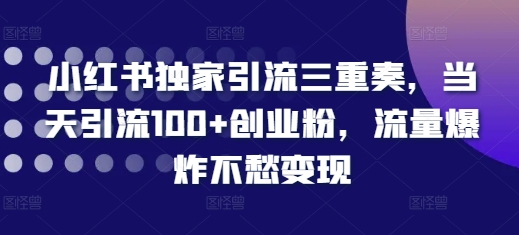 小红书独家引流三重奏，当天引流100+创业粉，流量爆炸不愁变现【揭秘】-胖丫丫博客