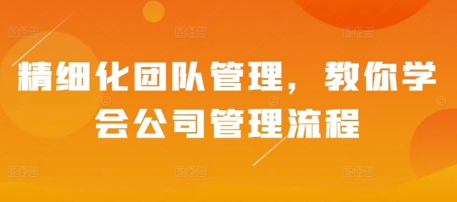 精细化团队管理，教你学会公司管理流程-胖丫丫博客