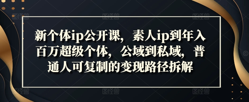 新个体ip公开课，素人ip到年入百万超级个体，公域到私域，普通人可复制的变现路径拆解-胖丫丫博客