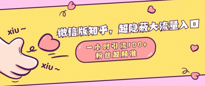 微信版知乎，超隐蔽流量入口1小时引流100人，粉丝质量超高【揭秘】-胖丫丫博客