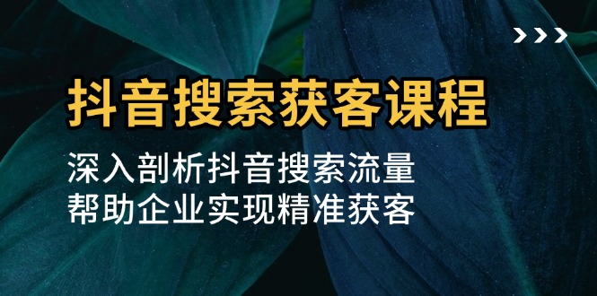 抖音搜索获客课程：深入剖析抖音搜索流量，帮助企业实现精准获客-胖丫丫博客