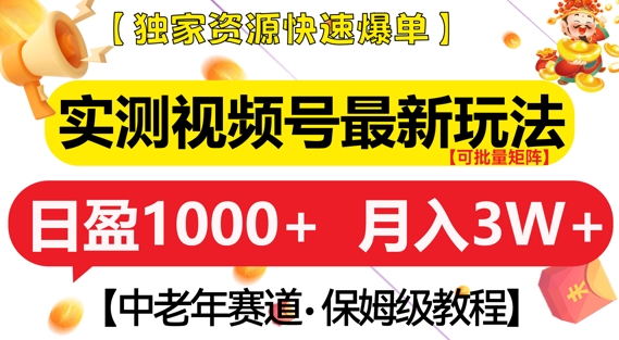 实测视频号最新玩法，中老年赛道，独家资源，月入过W+【揭秘】-胖丫丫博客