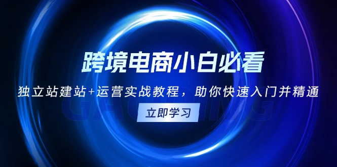 跨境电商小白必看！独立站建站+运营实战教程，助你快速入门并精通-胖丫丫博客