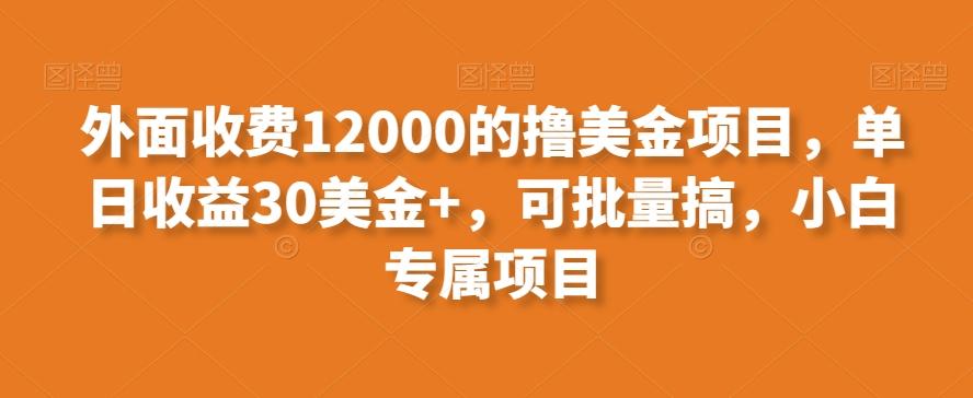 外面收费12000的撸美金项目，单日收益30美金+，可批量搞，小白专属项目-胖丫丫博客