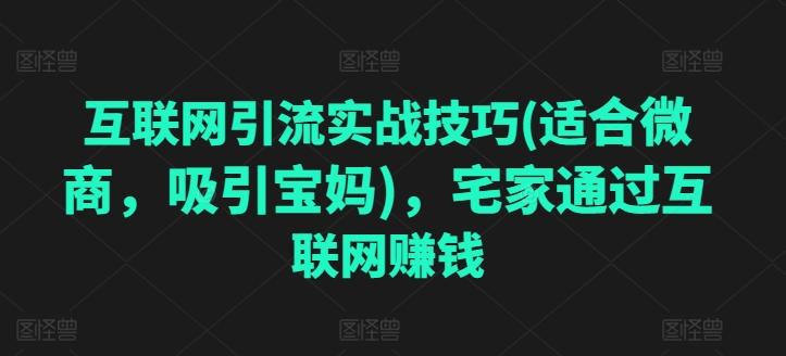 互联网引流实战技巧(适合微商，吸引宝妈)，宅家通过互联网赚钱-胖丫丫博客