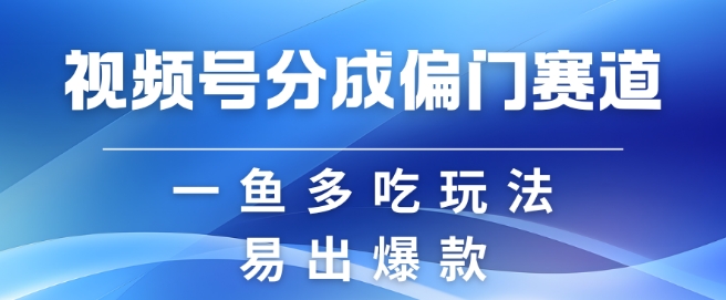 视频号创作者分成计划偏门类目，容易爆流，实拍内容简单易做【揭秘】-胖丫丫博客