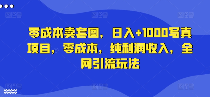 零成本卖套图，日入+1000写真项目，零成本，纯利润收入，全网引流玩法-胖丫丫博客