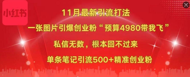 小红书11月最新图片打粉，一张图片引爆创业粉，“预算4980带我飞”，单条引流500+精准创业粉-胖丫丫博客