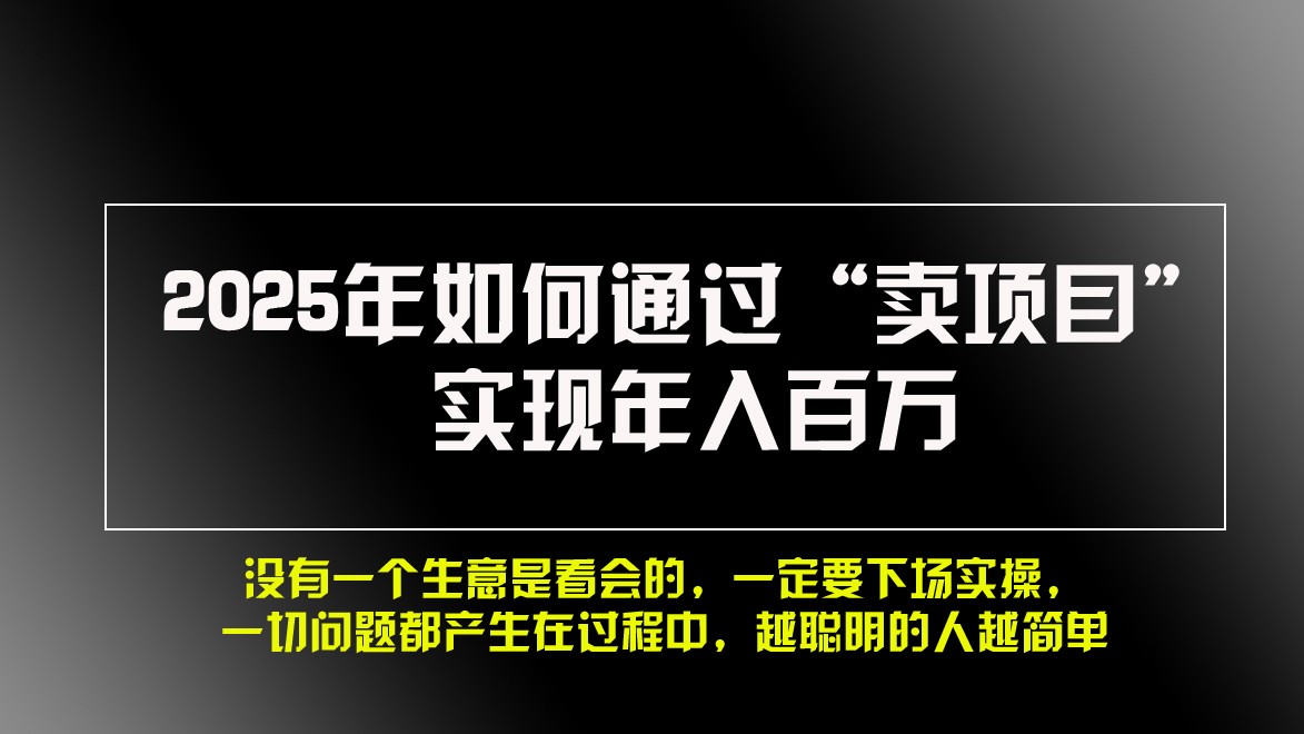 2025年如何通过“卖项目”实现年入百万-胖丫丫博客