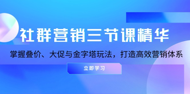 社群营销三节课精华：掌握叠价、大促与金字塔玩法，打造高效营销体系-胖丫丫博客