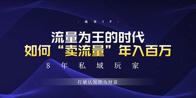 未来如何通过“卖流量”年入百万，跨越一切周期绝对蓝海项目-胖丫丫博客